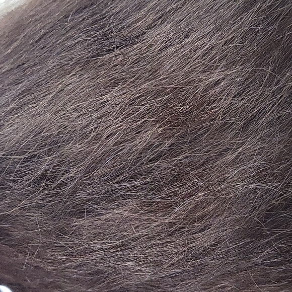 Extension - Picture 7 of 7